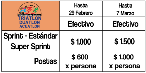 Costos Pirquitas 2020